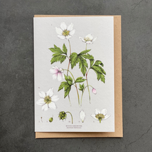 Load image into Gallery viewer, Botanical Greeting Cards