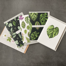 Load image into Gallery viewer, Botanical Greeting Cards